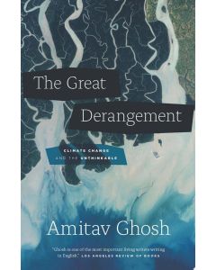 The Great Derangement