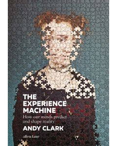 The Experience Machine